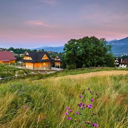 Willa Pitoniowka Z Sauna, Netflix Oraz Xbox One Koscielisko Exterior photo